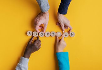 What Kind of Adoption is Right for You blog